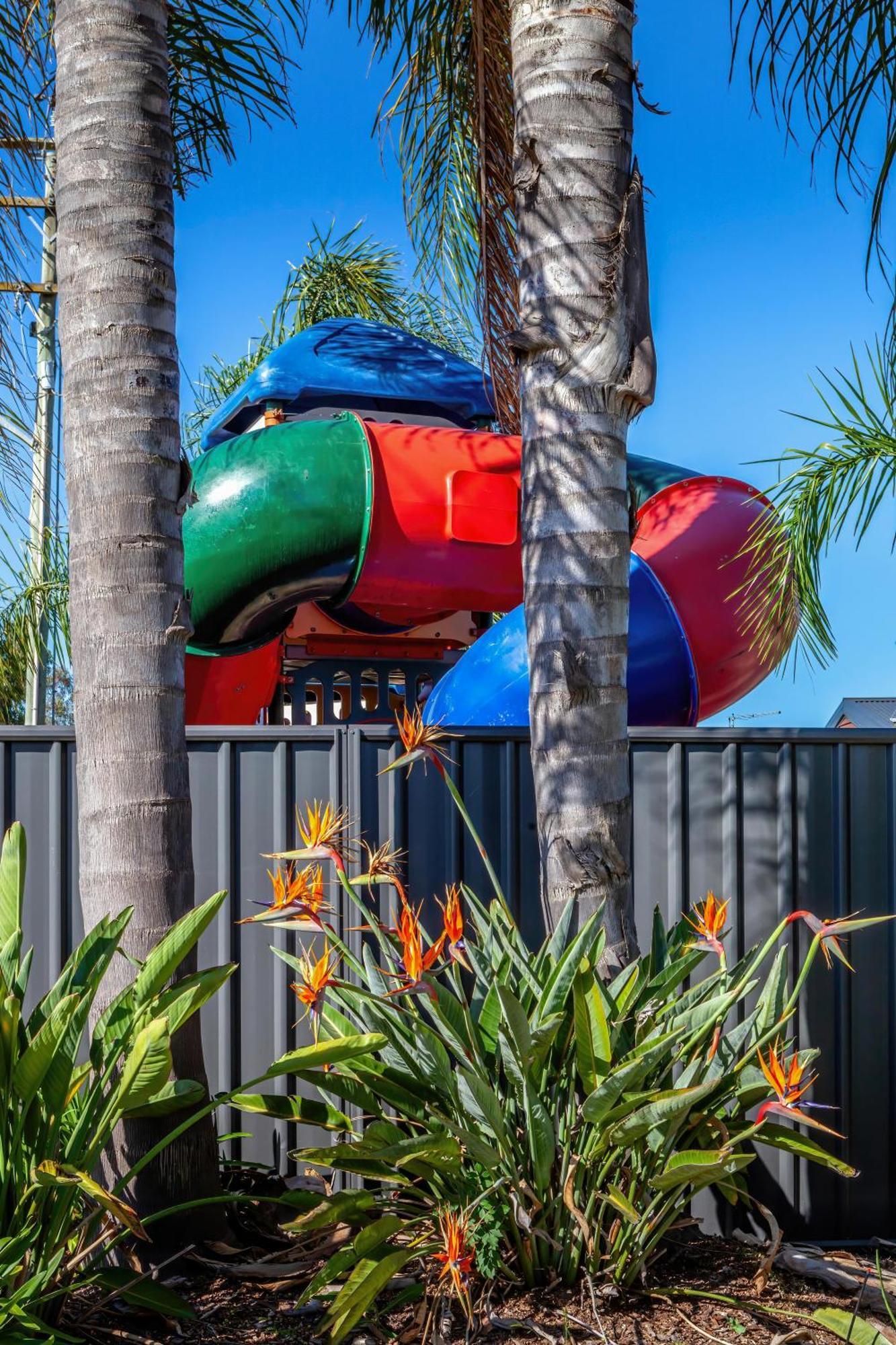 Hotel Big4 Albury Tourist Park Exterior foto